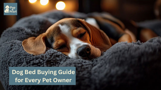 Find the perfect dog bed for your pup. From size and comfort to durability and style, our buying guide helps every pet owner make the right choice.