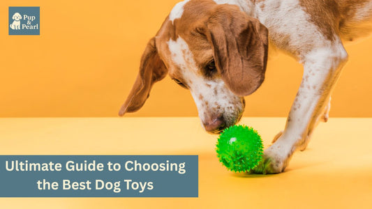 Discover the best dog toys for play, training, and dental health. Our ultimate guide helps you choose safe, fun, and durable toys your pup will love.