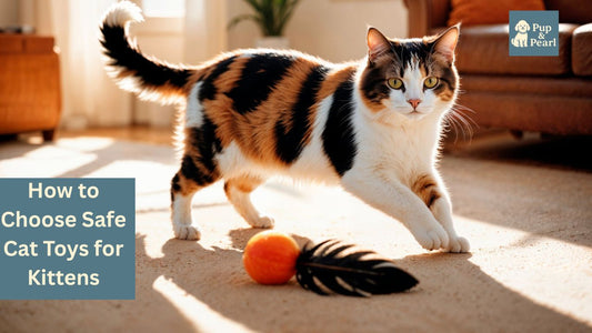 Discover how to choose safe cat toys for kittens. From teething chews to puzzle feeders, find the best kitten toys to keep playtime safe, fun, and enriching.