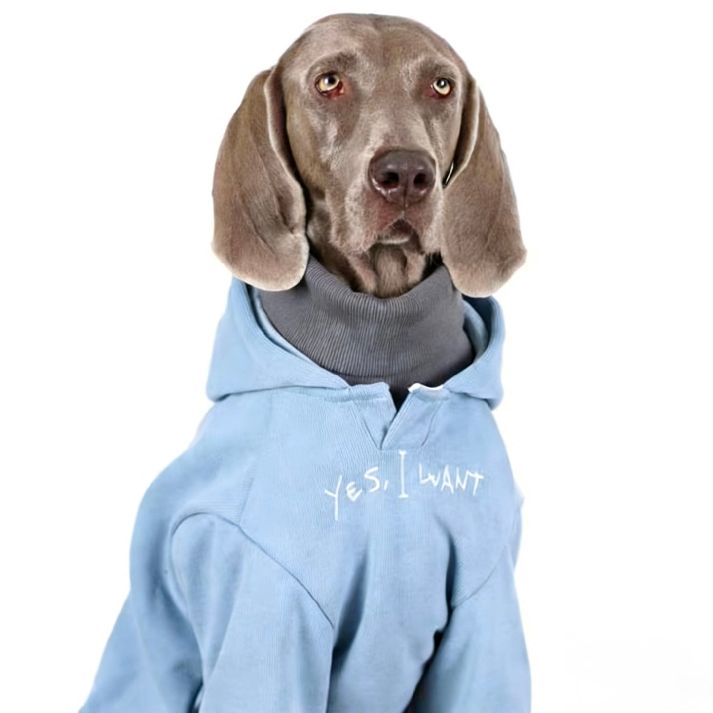 Iceblue Shield Hoodie