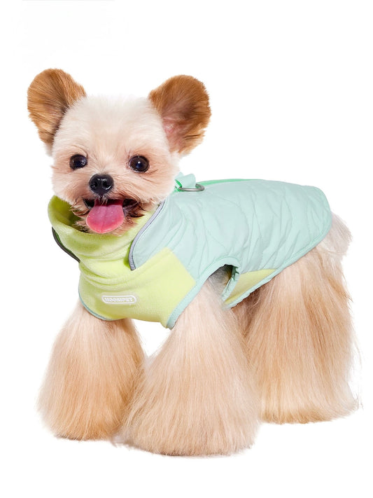 Frosty Paw Winter Suit