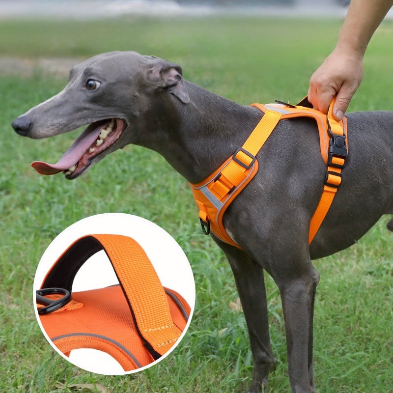 Ultimate Comfort Dog Harness - A Game - Changer for Your Pup(Leash not included)