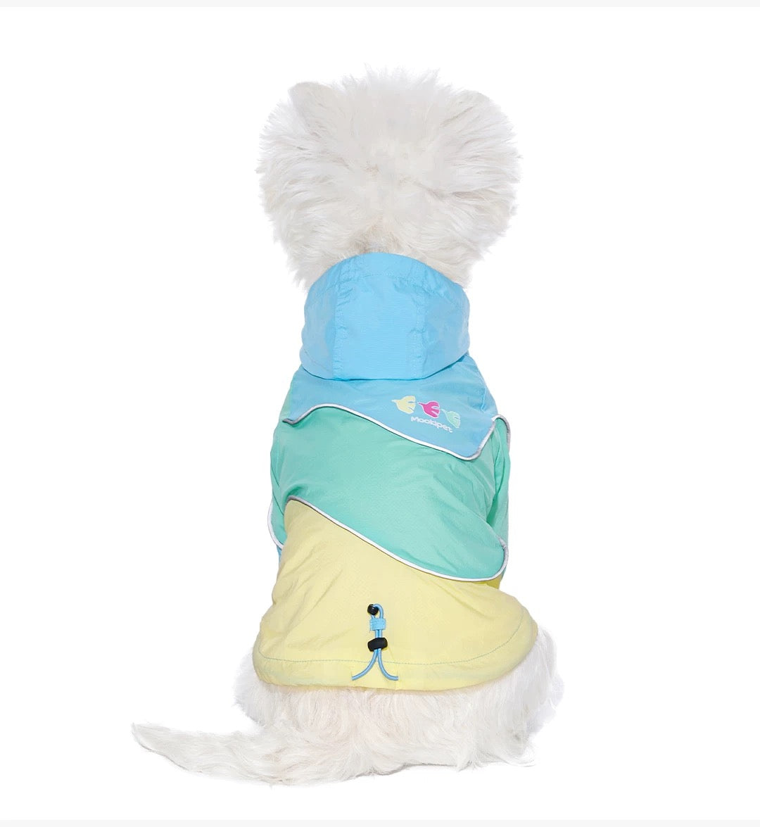 Sunny Mint Jacket