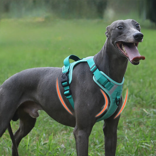 Ultimate Comfort Dog Harness - A Game - Changer for Your Pup(Leash not included)