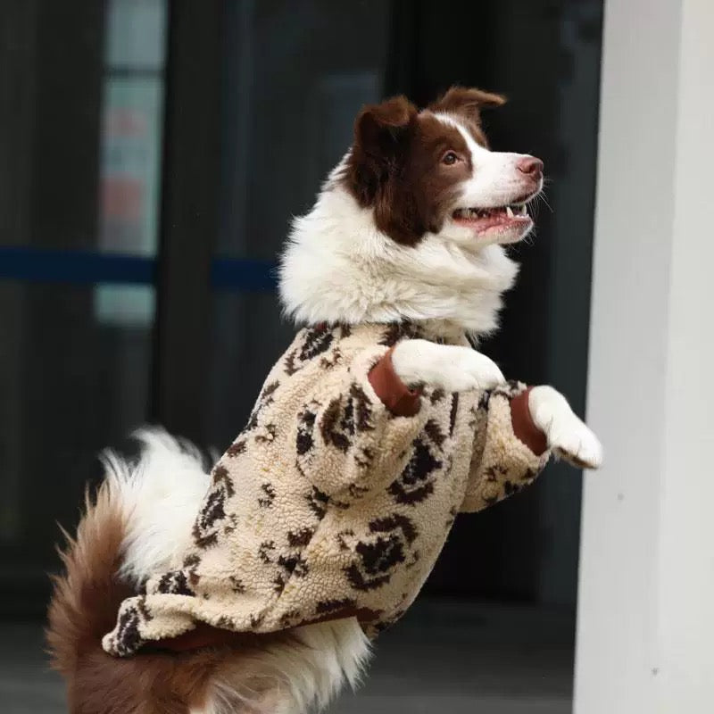 Cozy Lamb Wool Dog
Apparel - Thick and Warm for All Sizes