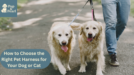 Discover how to choose the right harness for your dog or cat. Ensure style, comfort & control explore our expert guide today!