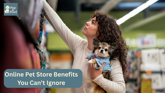 Online Pet Store Benefits You Can’t Ignore