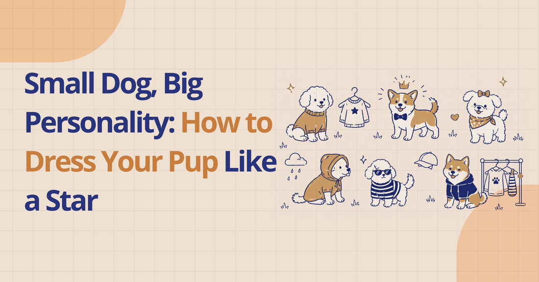 Small Dog, Big Personality: How to Dress Your Pup Like a Star