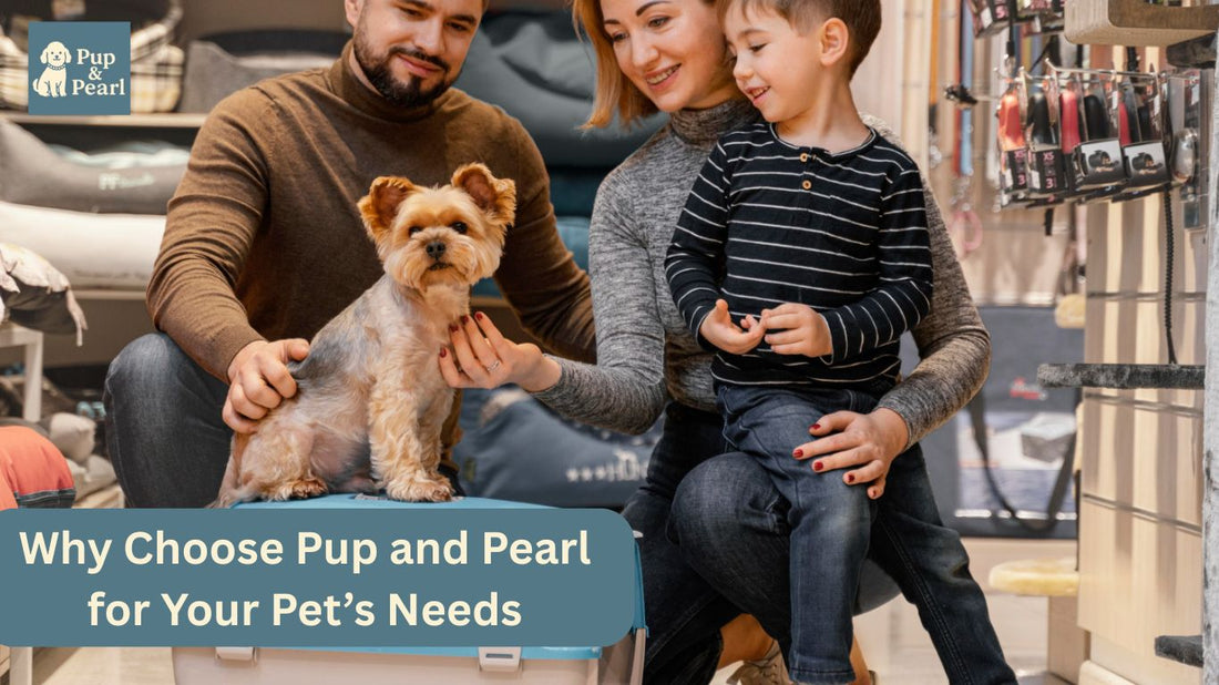Discover why Pup and Pearl is the go-to choice for pet lovers. From quality products to trusted care, shop smart & give your pet the best today!