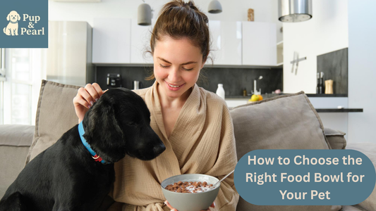 Find the perfect food bowl for your pet with PupandPearl. Discover safe, comfy, and stylish options that make mealtime joyful.