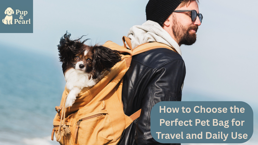 Explore PupandPearl’s guide to picking the right pet bag for daily walks or long trips. Keep your furry friend comfy wherever you go!