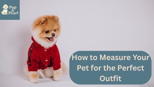 Get the right size every time with PupandPearl’s guide! Learn how to measure your pet for comfy, stylish outfits that fit perfectly.