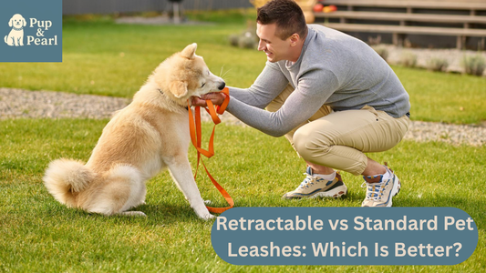 Discover PupandPearl’s expert guide comparing retractable vs standard pet leashes. Find the safest, best leash for your dog today!