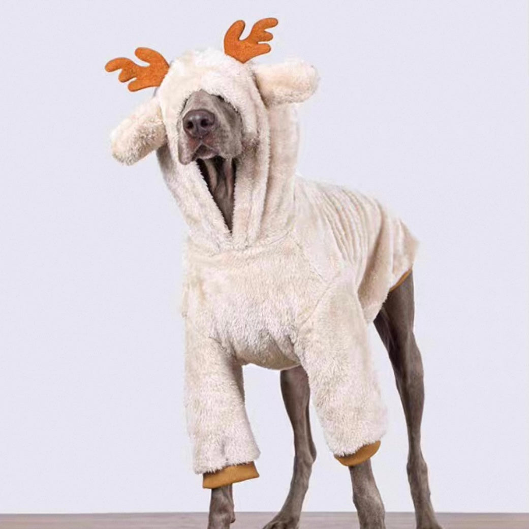 Big Pup Winter Guard