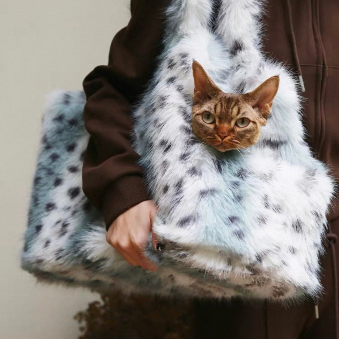 Premium Design Carriers