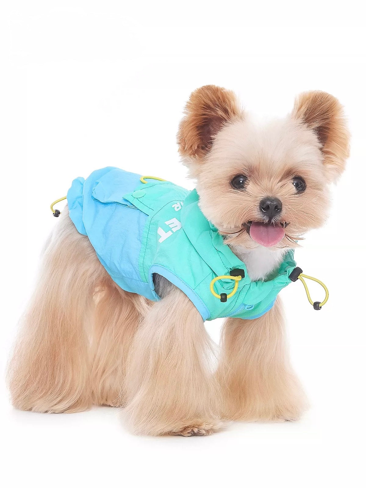 Blueberry Mint Coat