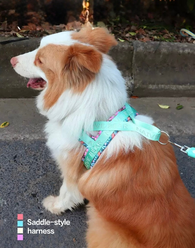 Pet Dog Floral Design Harness