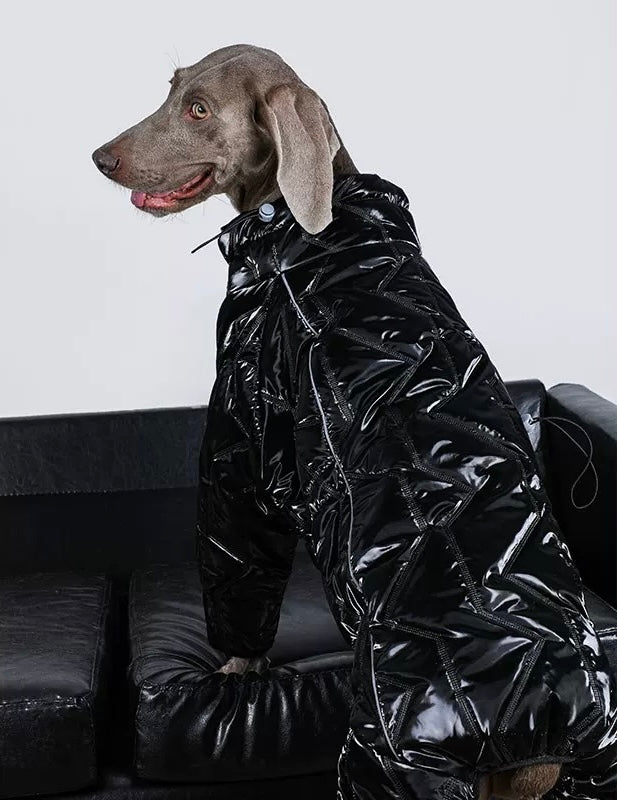 Pet Legged Coat