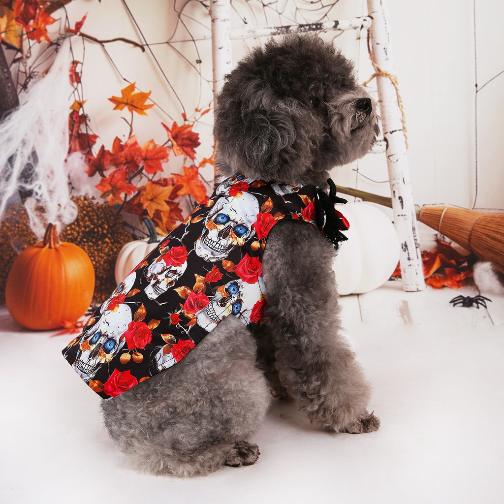 Halloween Pet Shirt - Gold Foil Skull Print on Organza
T-Shirt