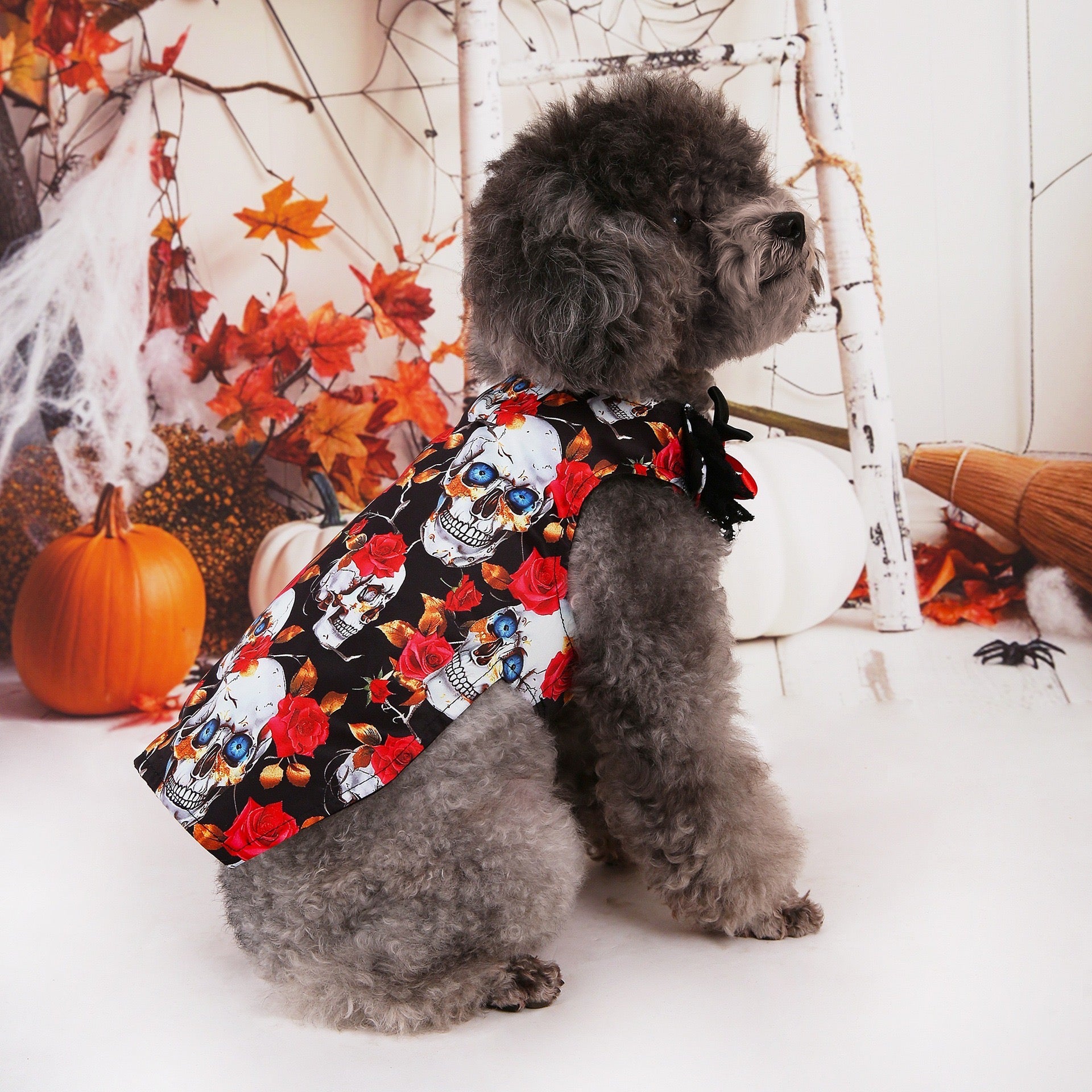 Halloween Pet Shirt - Gold Foil Skull Print on Organza
T-Shirt