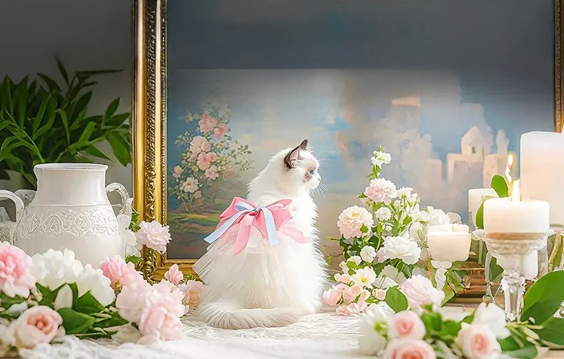 Starlight Ballet Gown