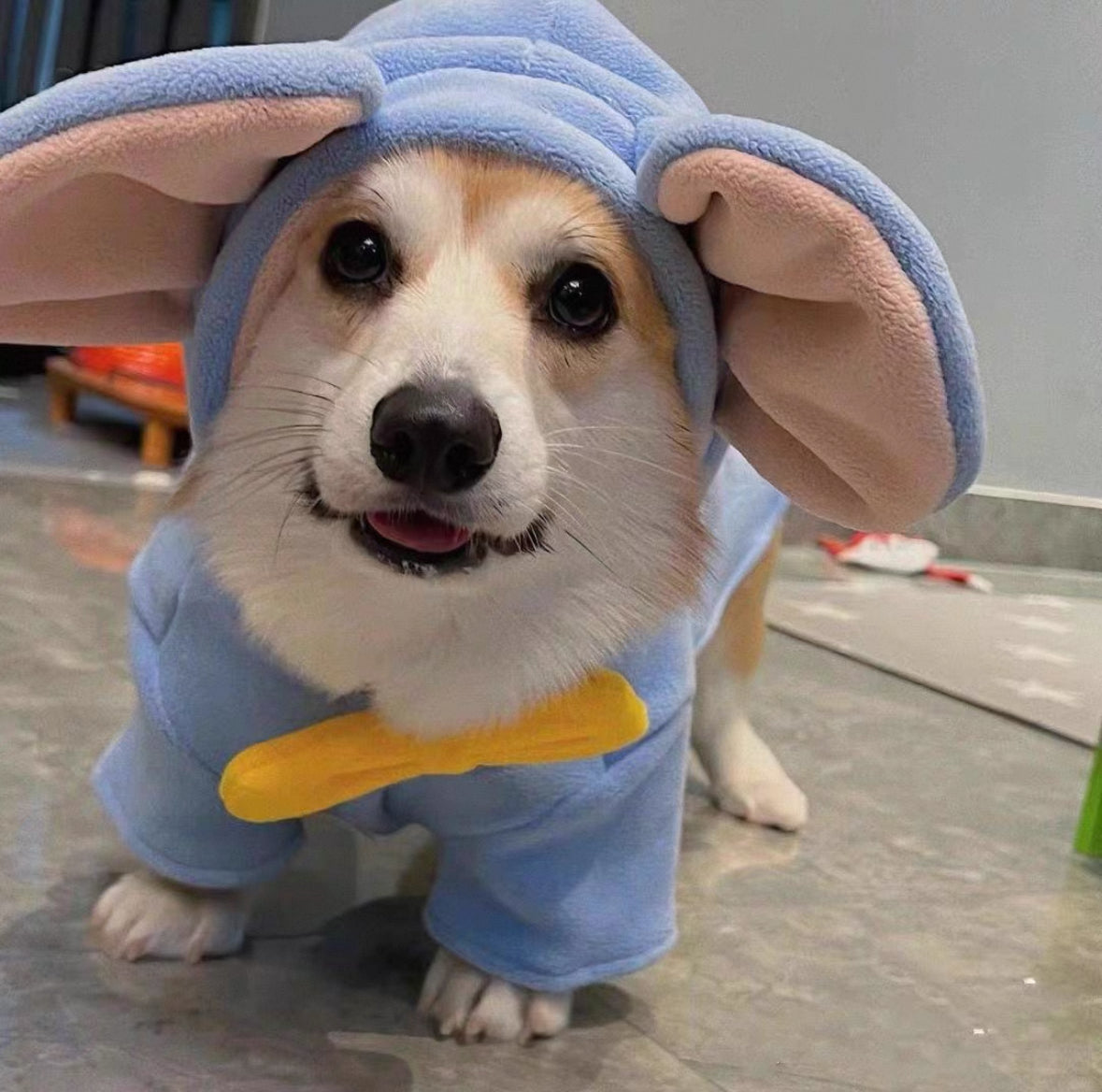 Elephant-Ear Bow Tie Thickened Winter Pet Coat