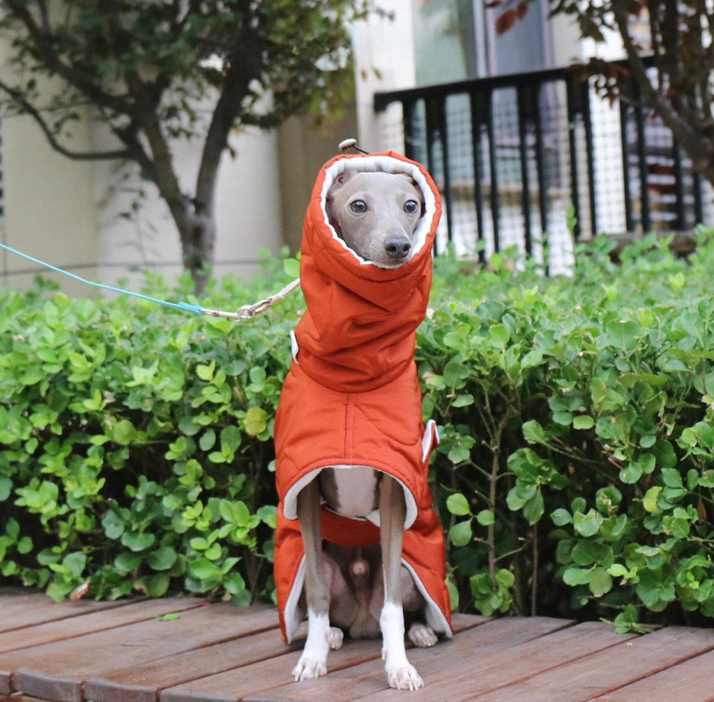 Bedlington & Whippet Winter Defender Jacket