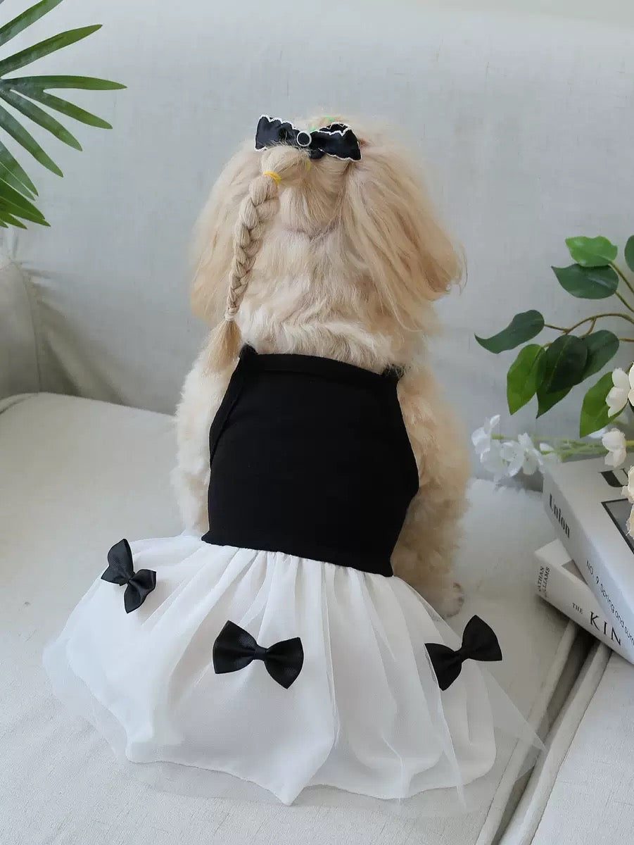 New Lightweight Dog
Dress - Cool, Cute & Comfy for Small Breeds