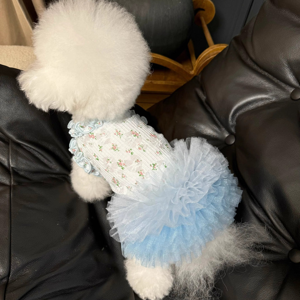 Ballet Lace Tutu for Pets - Floral & Fluffy(small breed dog)