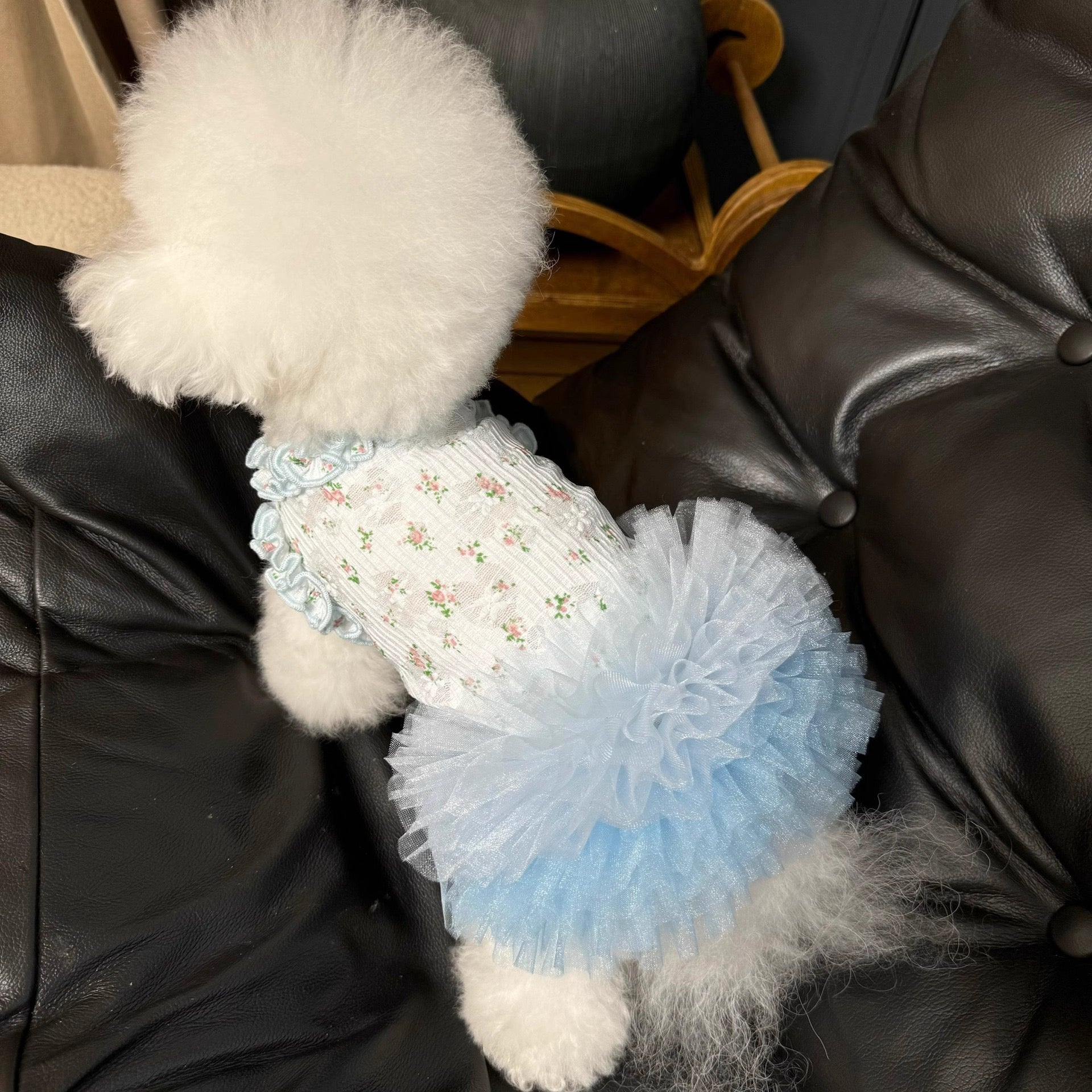 Ballet Lace Tutu for Pets - Floral & Fluffy(small breed dog)