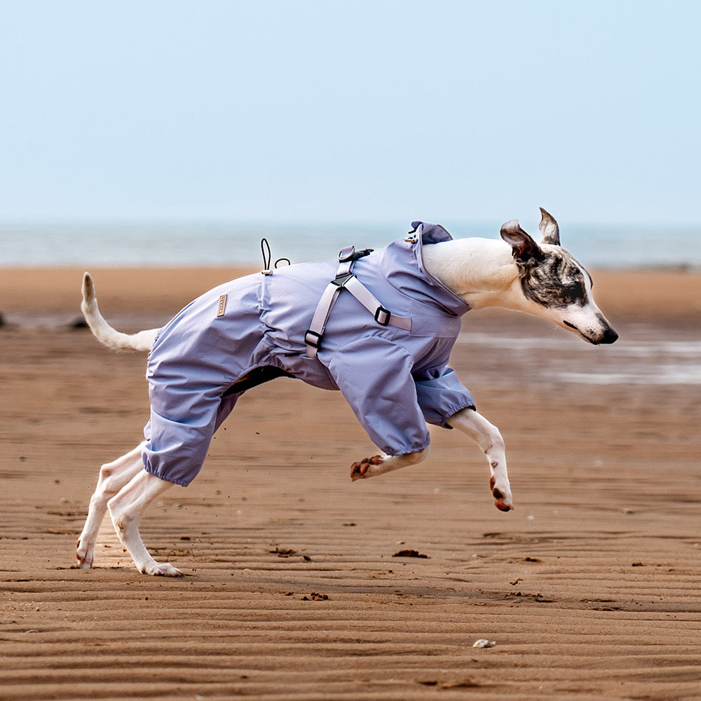 All-Weather Paws · 4-Legged Harness Integrated Pet Trendy Raincoat