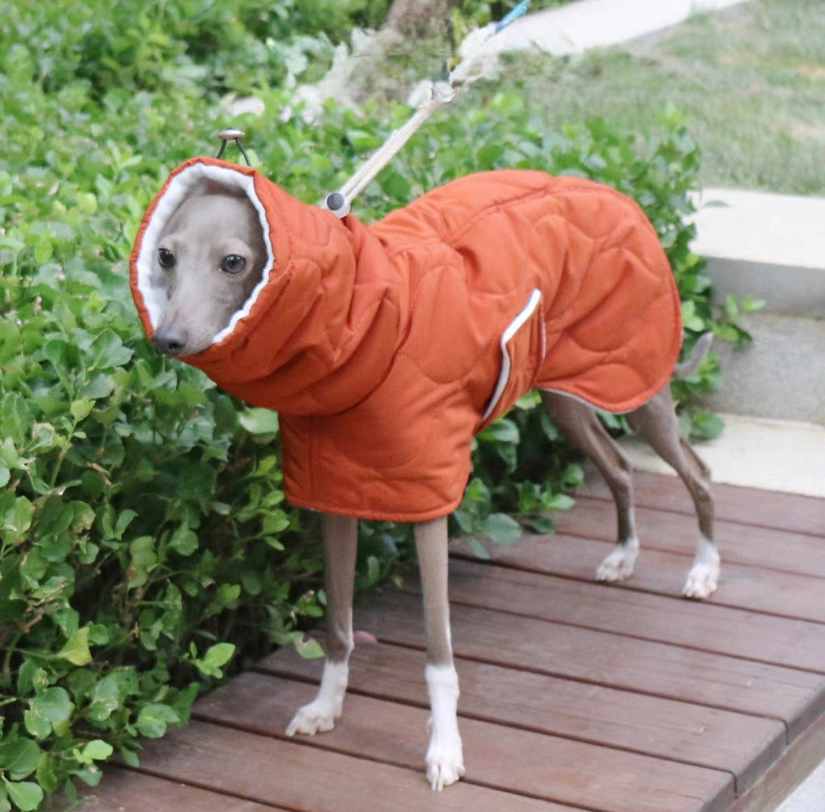 Bedlington & Whippet Winter Defender Jacket
