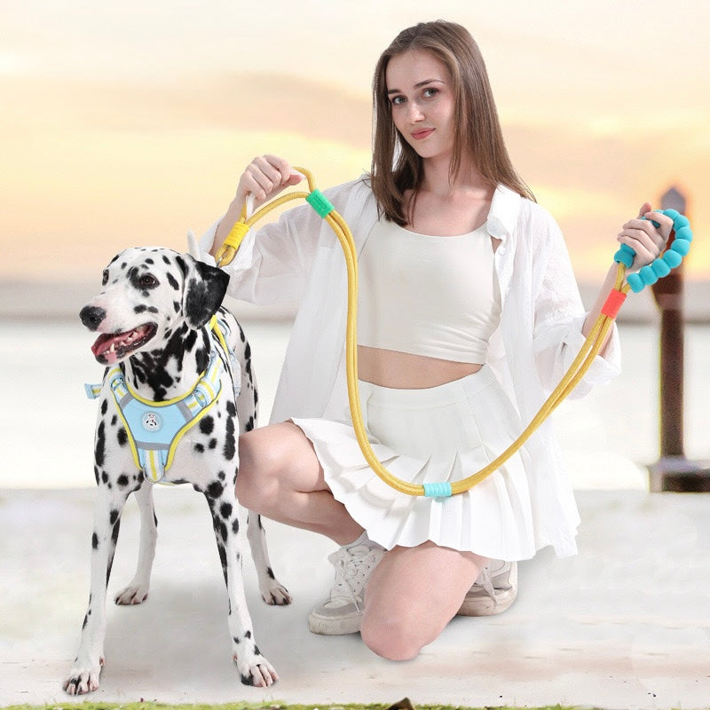 Candy-Colored Dog Leash
- Anti-Pull, Escape-Proof
Walking Lead for Small, Medium & Large Dogs