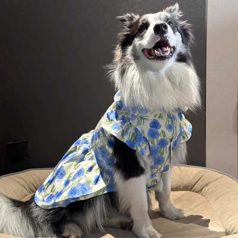 Lightweight floral dress suitable for large, medium, and small dogs