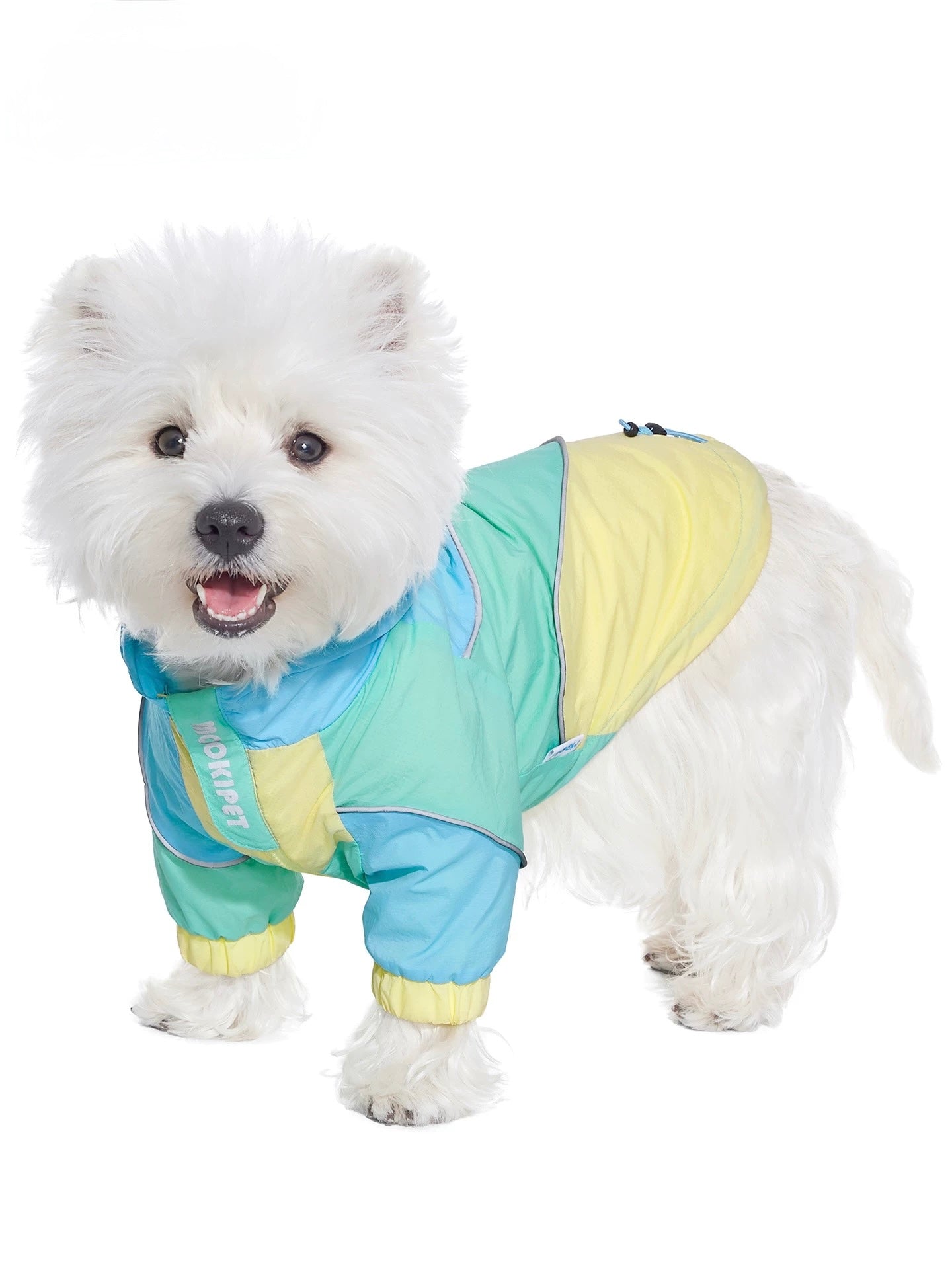 Sunny Mint Jacket