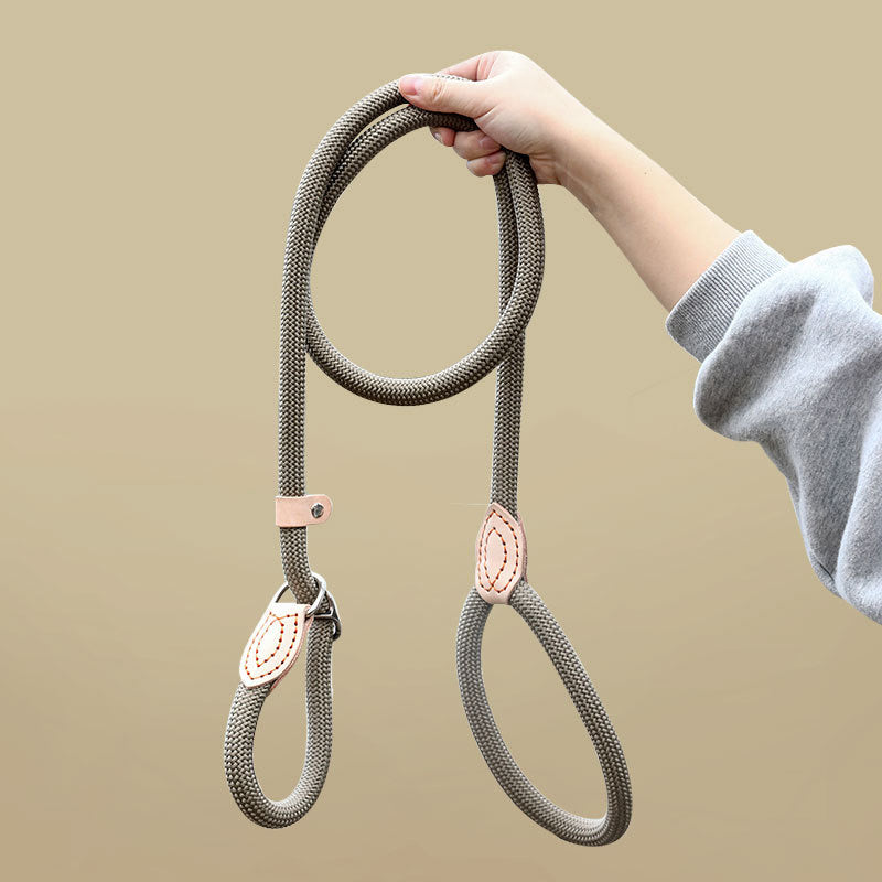 🐾Nylon Dog Leash - The Ultimate Walking Companion