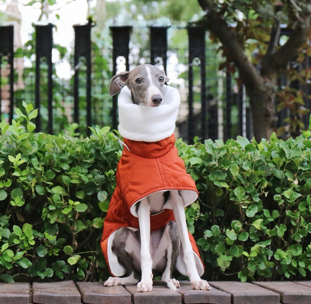 Bedlington & Whippet Winter Defender Jacket