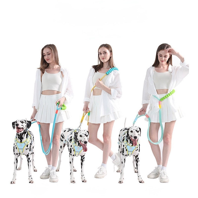 Candy-Colored Dog Leash
- Anti-Pull, Escape-Proof
Walking Lead for Small, Medium & Large Dogs