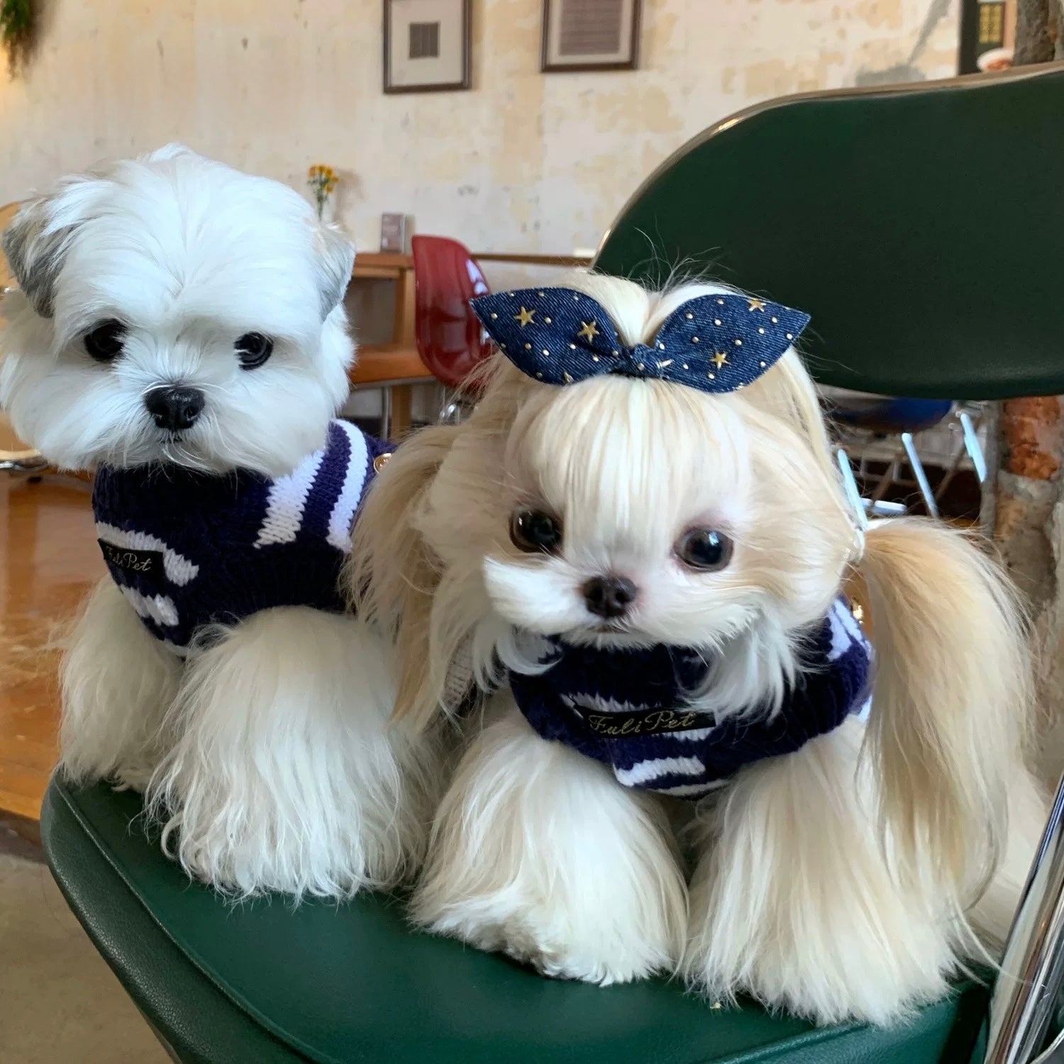 Navy striped sweater suitable for small dogs