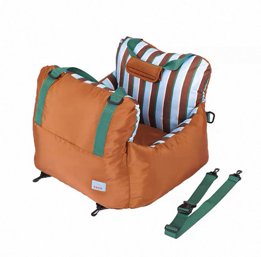 Snug Ride Carrier
