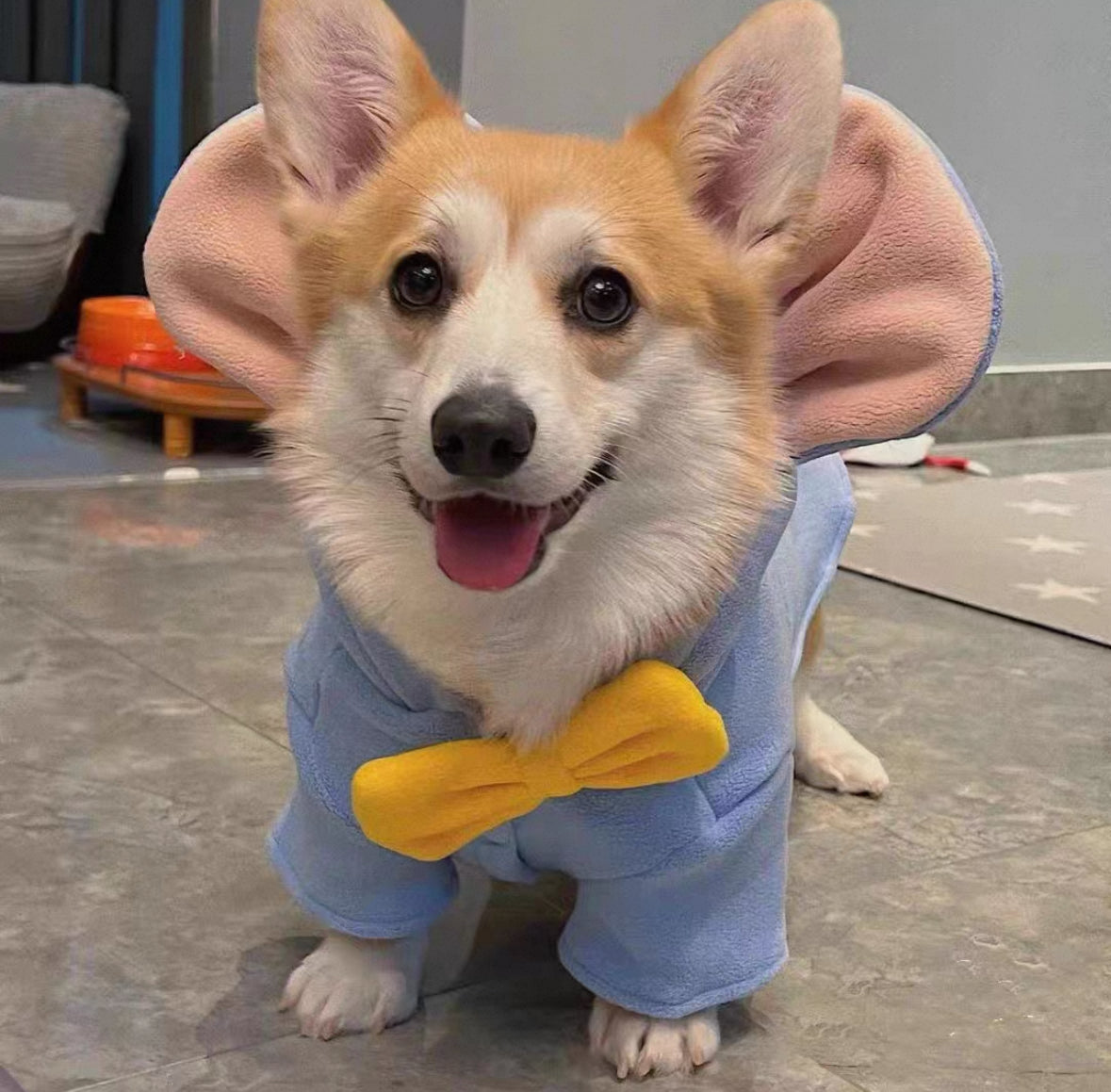Elephant-Ear Bow Tie Thickened Winter Pet Coat