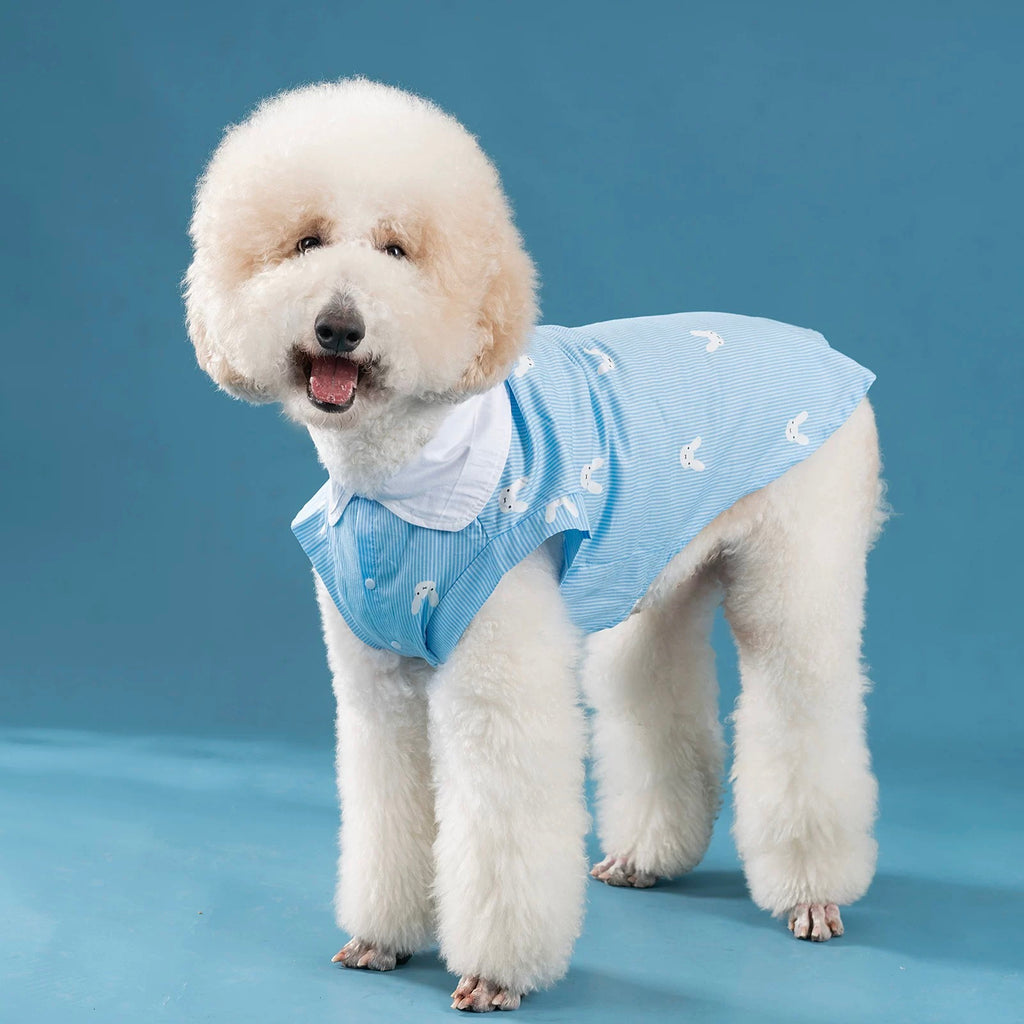 Cute Sleeveless Dog Shirt
- Lightweight & Breathable
Pet Clothing for Small, Medium, and Large Dogs