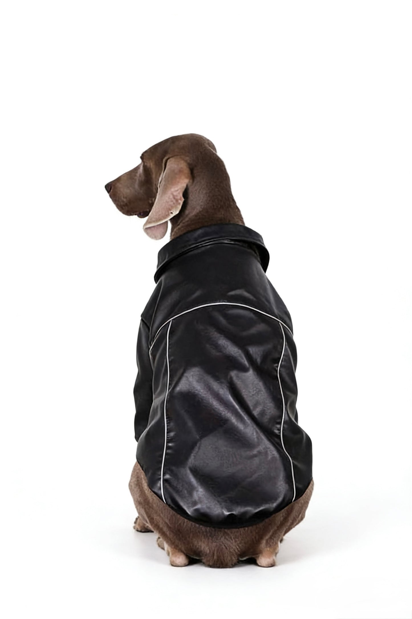 Midnight Rider Jacket