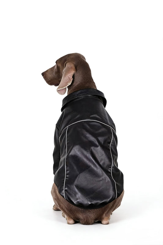 Midnight Rider Jacket