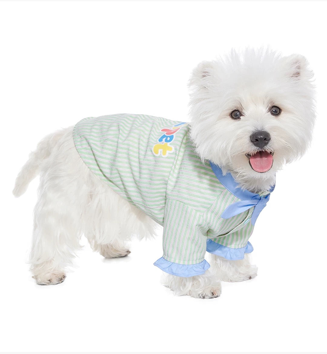 Mint Cookie Shirt