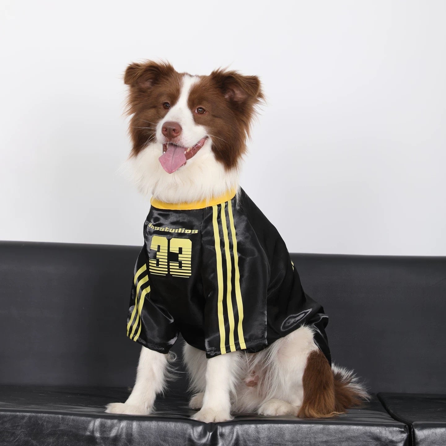 Large Dog Anti-Shedding
Reflective Sports Jersey