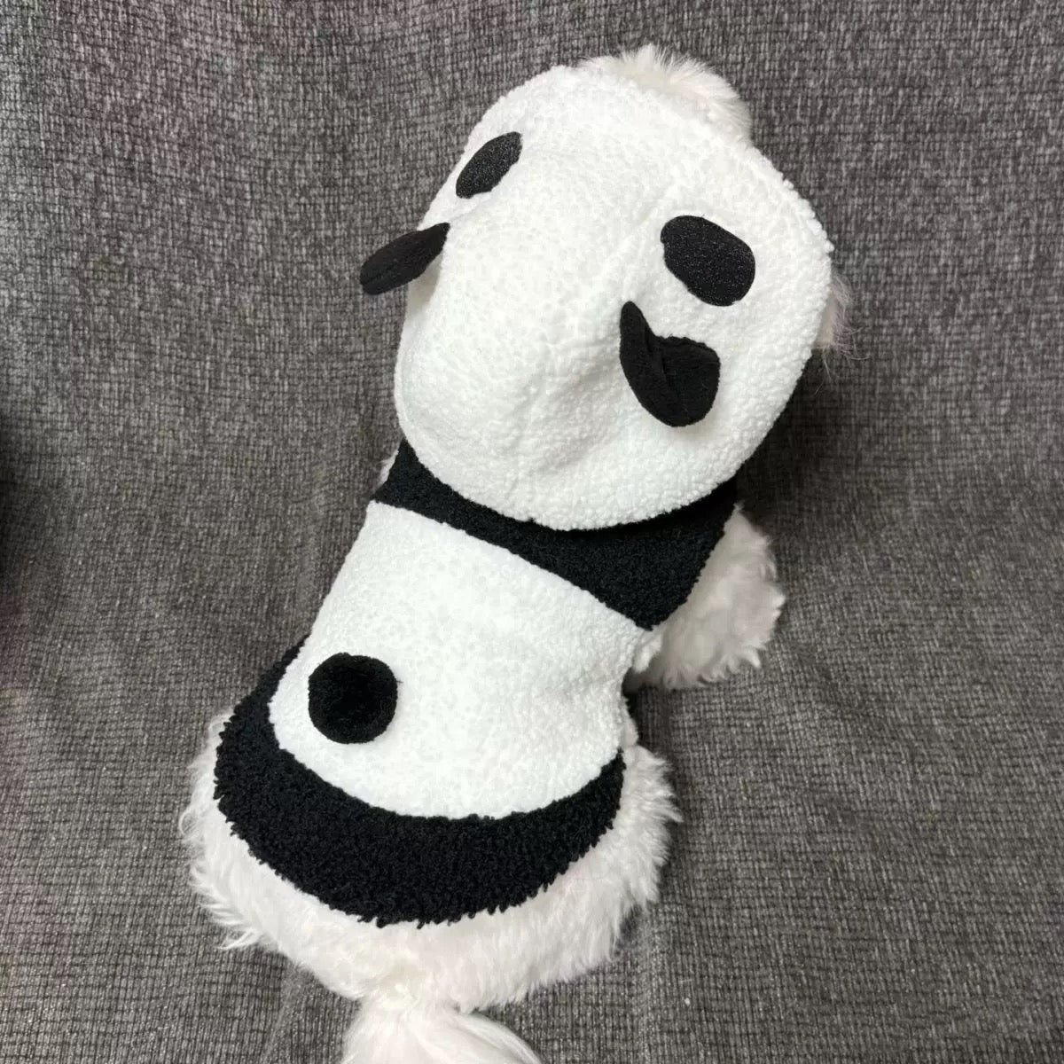 Cute Bear Hoodie for Small Dogs - Two-Legged Design, Perfect for Autumn and Winter