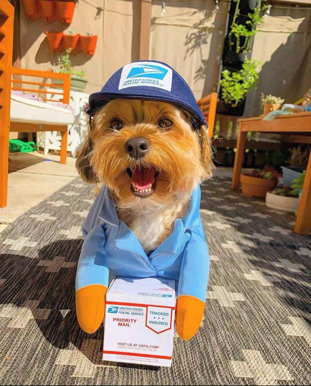 Doggy Delivery Messenger Set