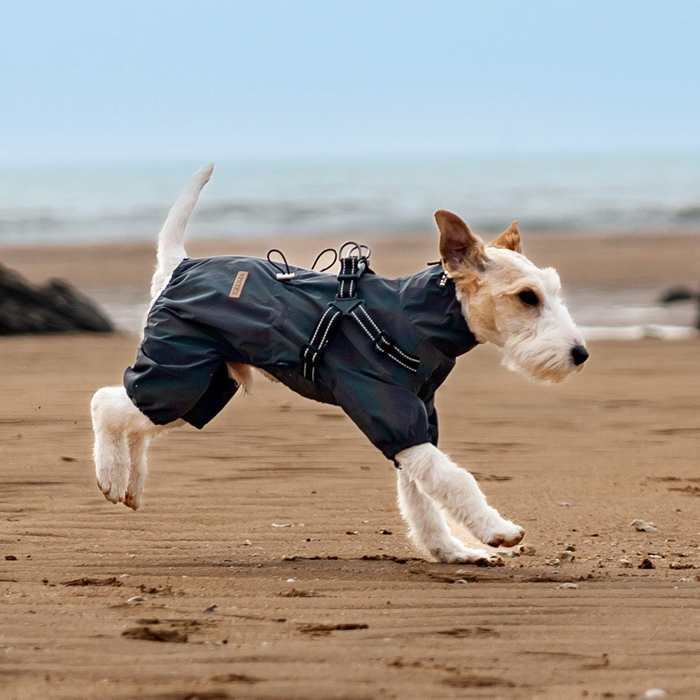 All-Weather Paws · 4-Legged Harness Integrated Pet Trendy Raincoat