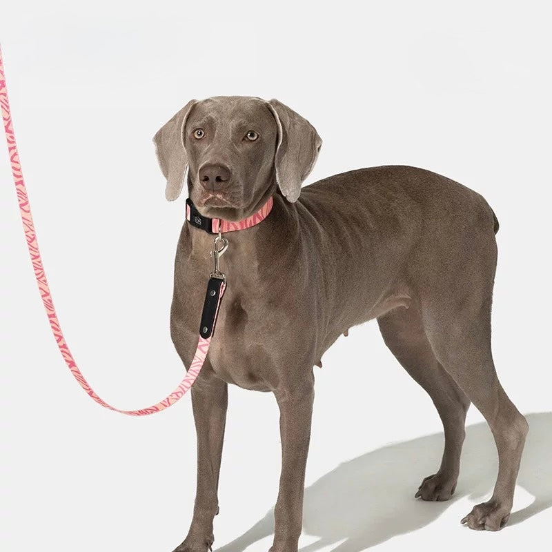 Designed for medium to large dogs – strong, stylish, and secure for every walk